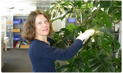 Ein großer weißer Blumentopf mit einer Pflanze darin