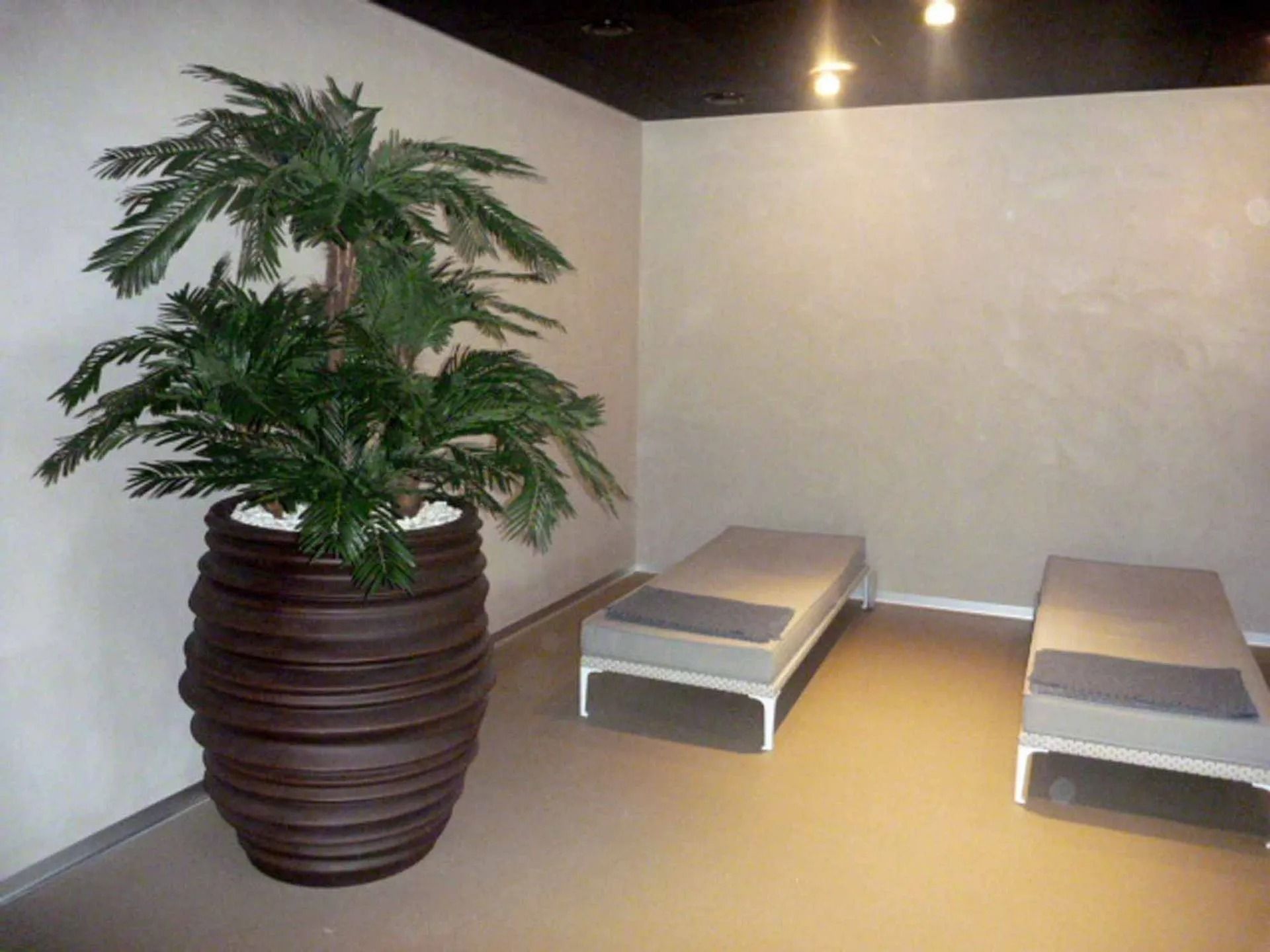 Ein Zimmer mit zwei Liegestühlen und einer großen Topfpflanze