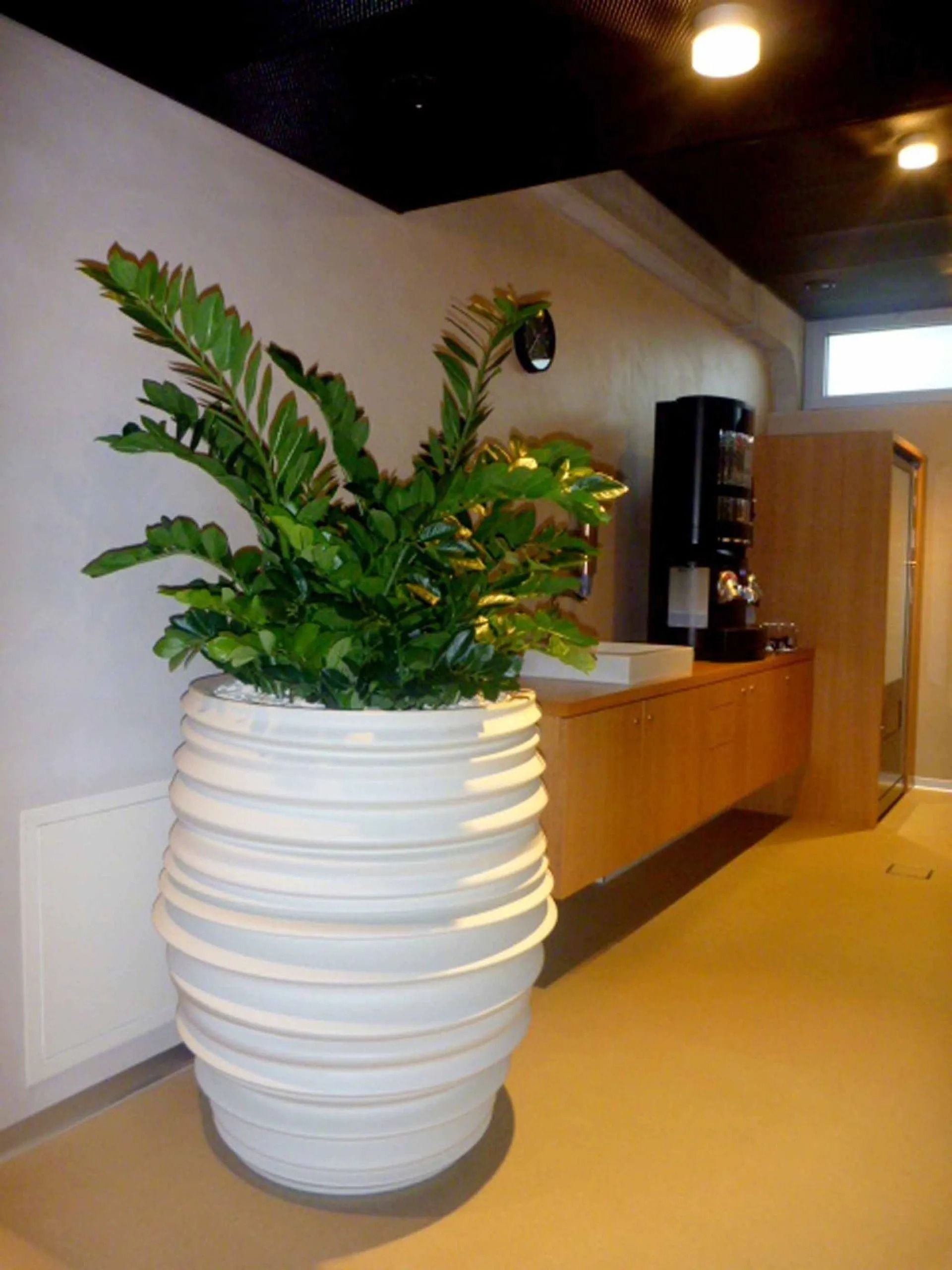 Ein großer weißer Blumentopf mit einer Pflanze darin