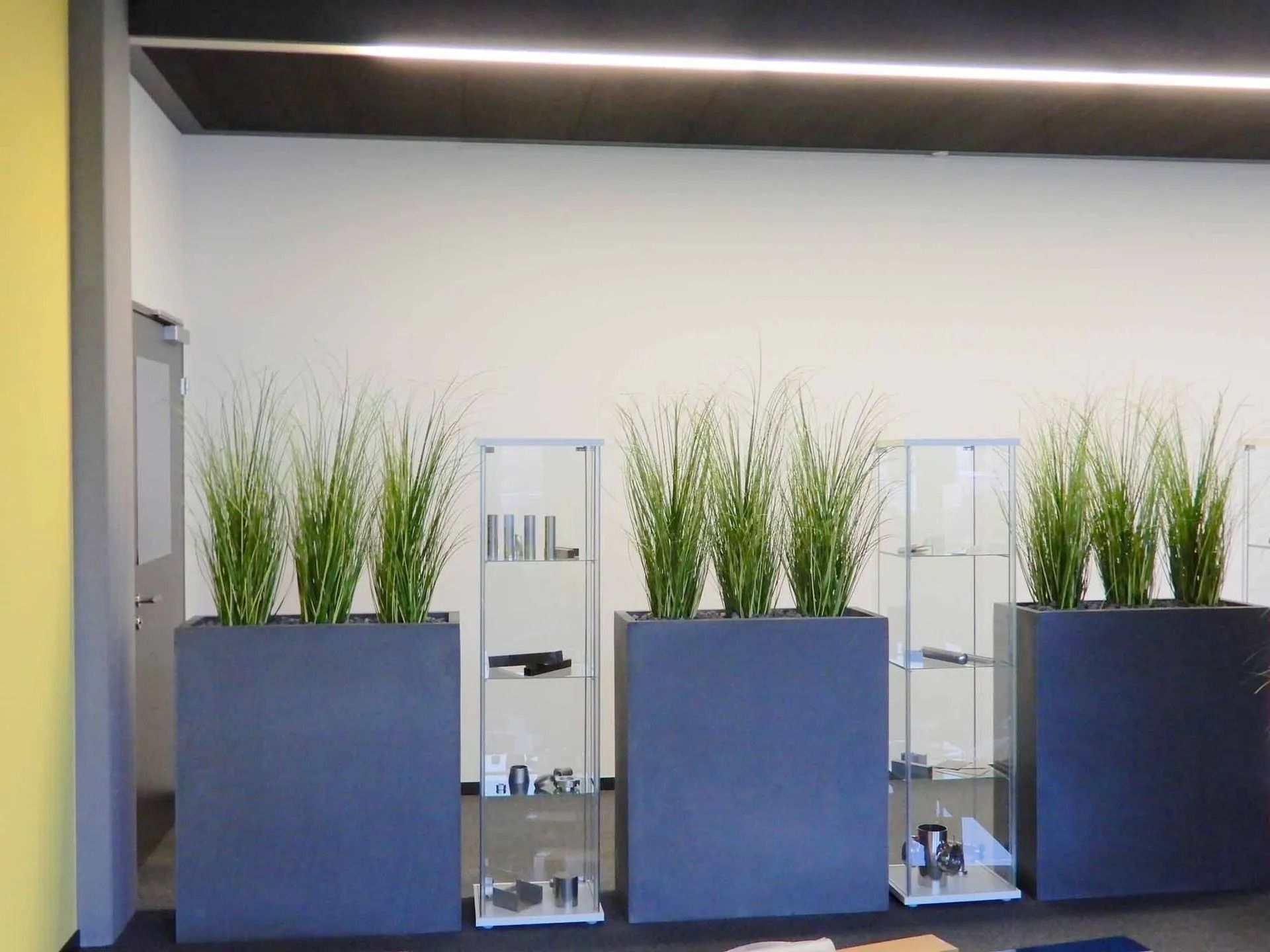 Ein Raum mit vielen Topfpflanzen und einem Schild mit der Aufschrift „iul“