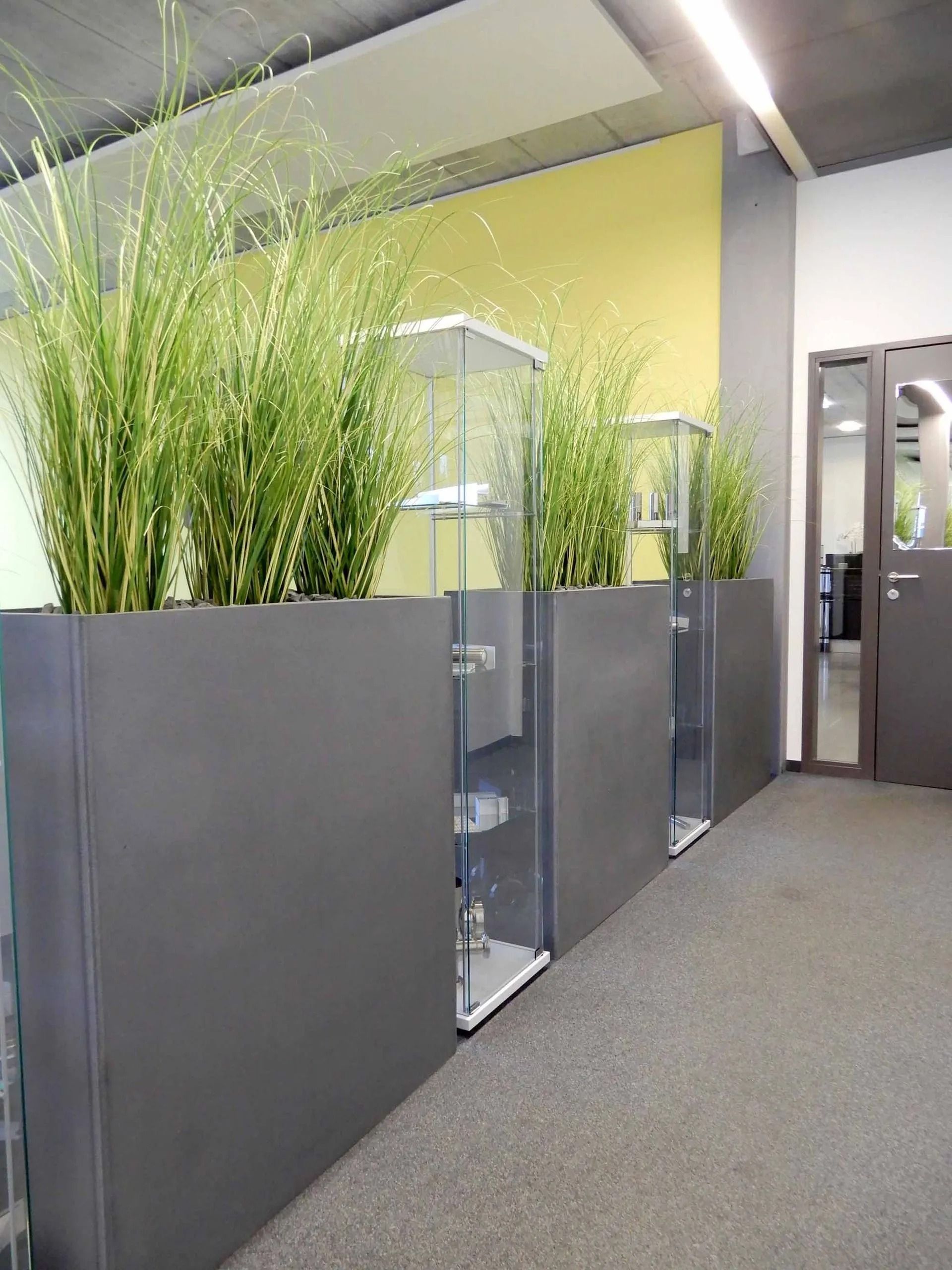 Ein Flur mit einer Reihe von Pflanzgefäßen voller Pflanzen.