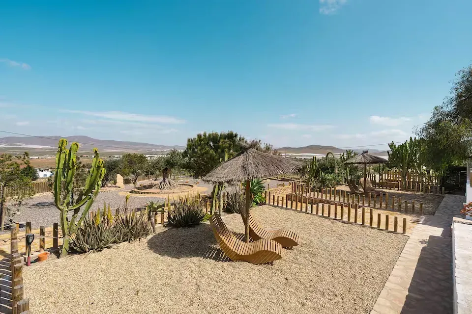 Patio de un complejo turístico en el desierto con asientos de grava, tumbonas, palmeras y vistas a la montaña 