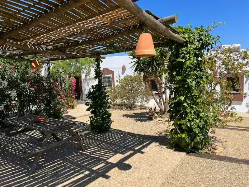 Patio sombreado con pérgola cubierta de enredaderas, lámpara colgante y sendero de piedra iluminado