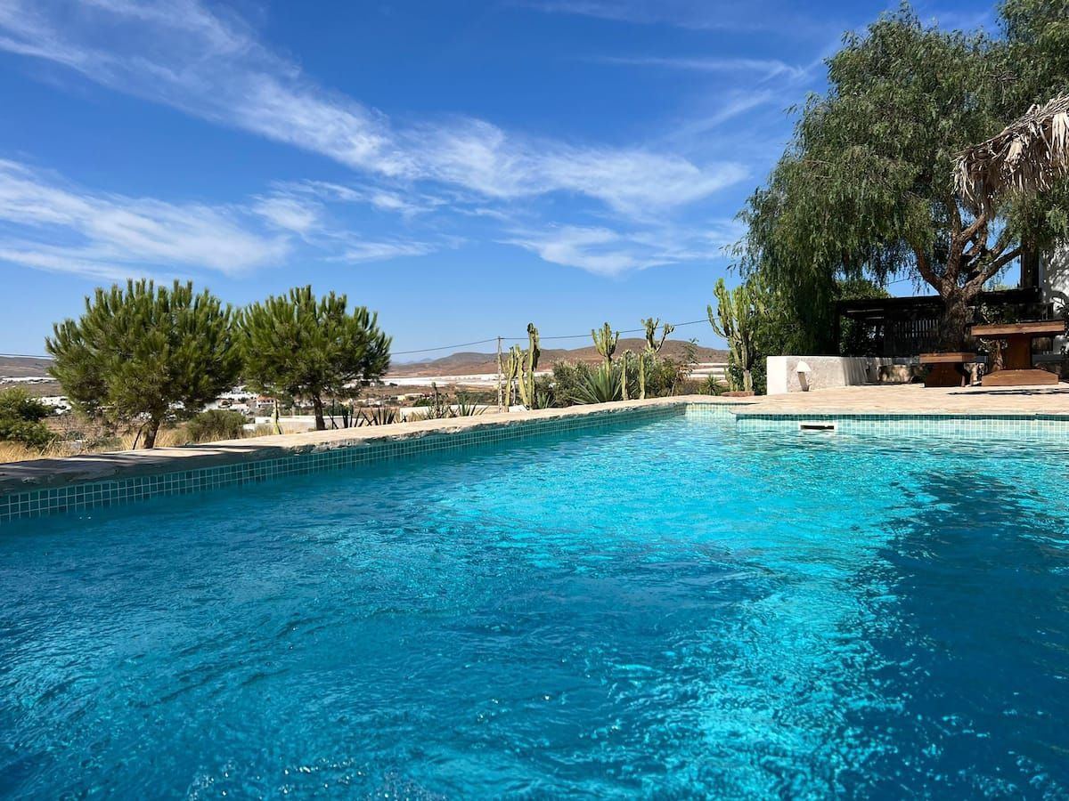 Una gran piscina rodeada de árboles en un día soleado.