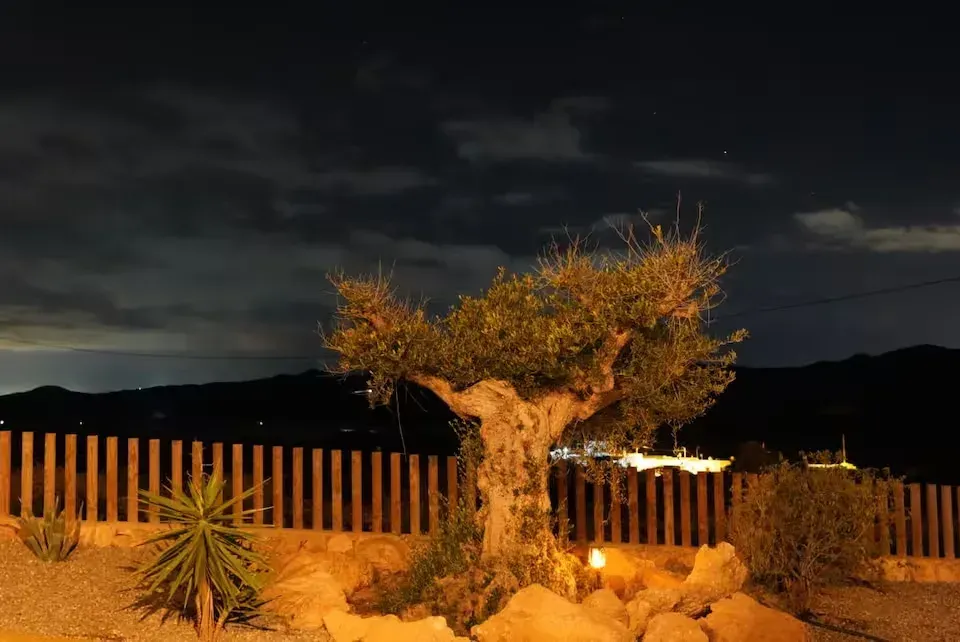 Árbol iluminado junto a una valla de madera y rocas por la noche bajo un cielo oscuro.