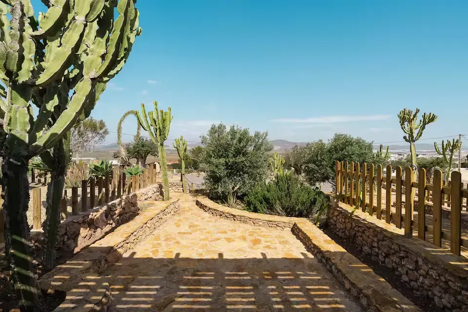 Sendero de jardín desértico bordeado de cactus y vallas de madera bajo un cielo azul brillante.