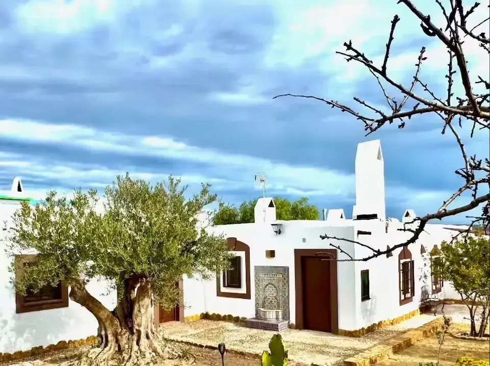 Casa rural blanca con puertas azules, olivos y ramas desnudas bajo un cielo nublado.