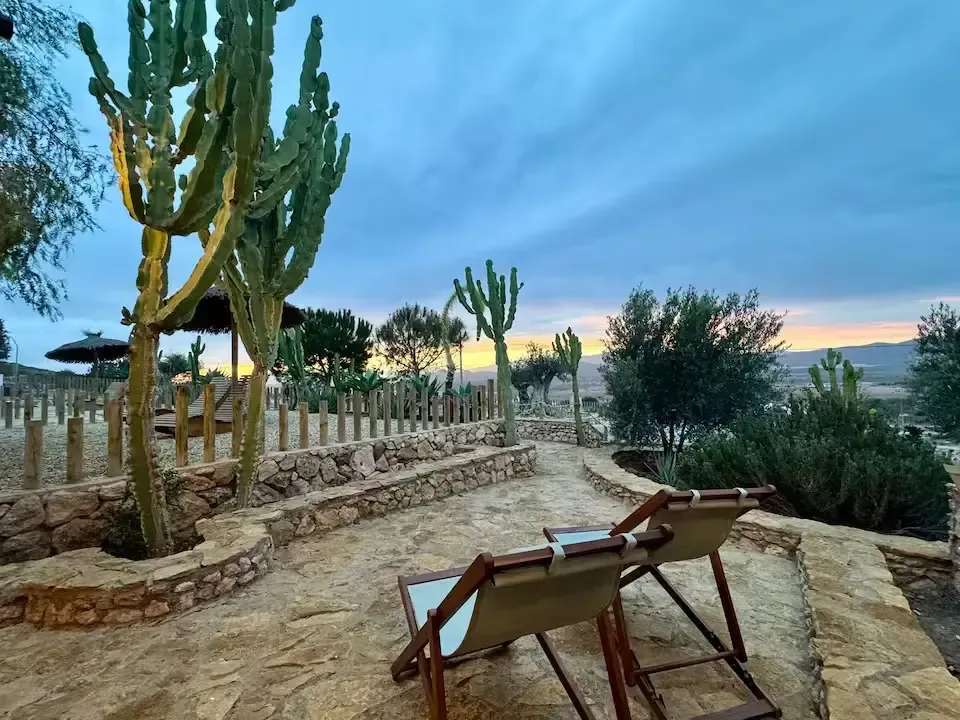 Sillas de patio con vistas a un jardín desértico al atardecer, con altos cactus y un sendero de piedra.