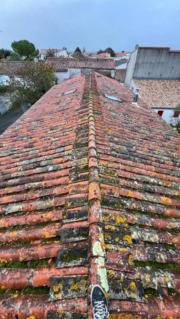 Toiture pleine de mousses