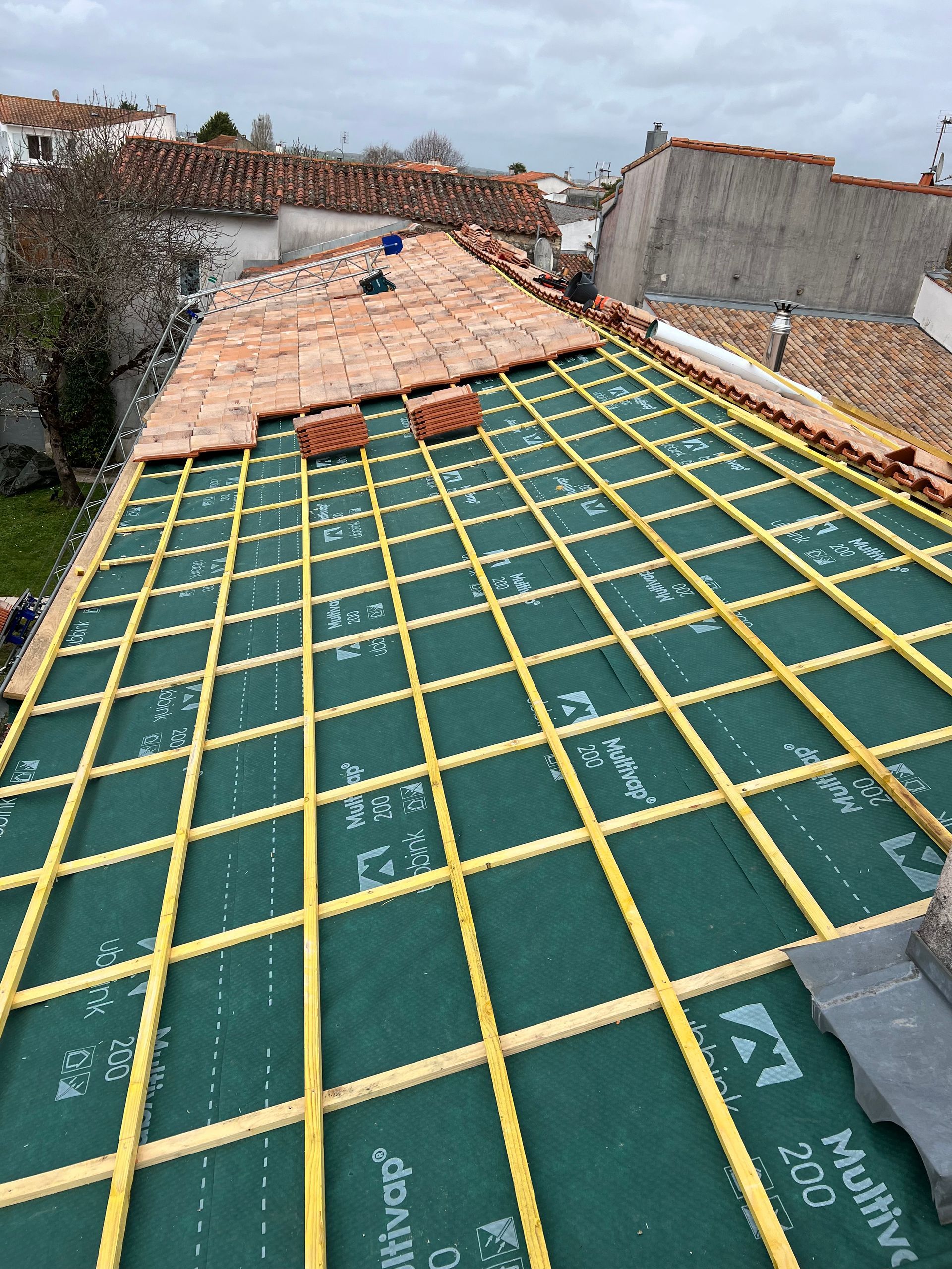 Toiture pleine de mousses