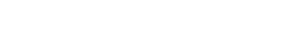 Professional Sebastian