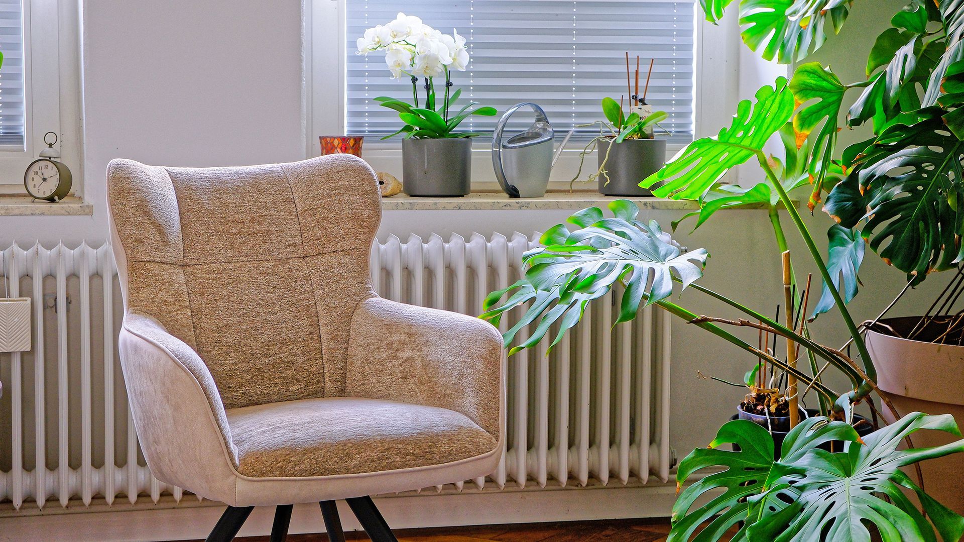 Helles Wohnzimmer mit einem beigen Sessel, einer großen Topfpflanze, einem roten Sofa und zwei kleinen Schildkrötenfiguren auf einem Teppich.