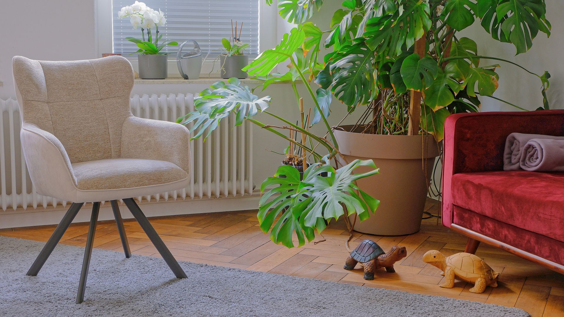 Helles Wohnzimmer mit einem beigen Sessel, einer großen Topfpflanze, einem roten Sofa und zwei kleinen Schildkrötenfiguren auf einem Teppich.