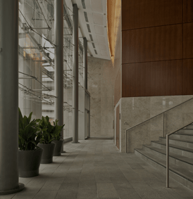 Intérieur d'un bâtiment moderne avec des colonnes grises, des plantes en pot et un escalier.