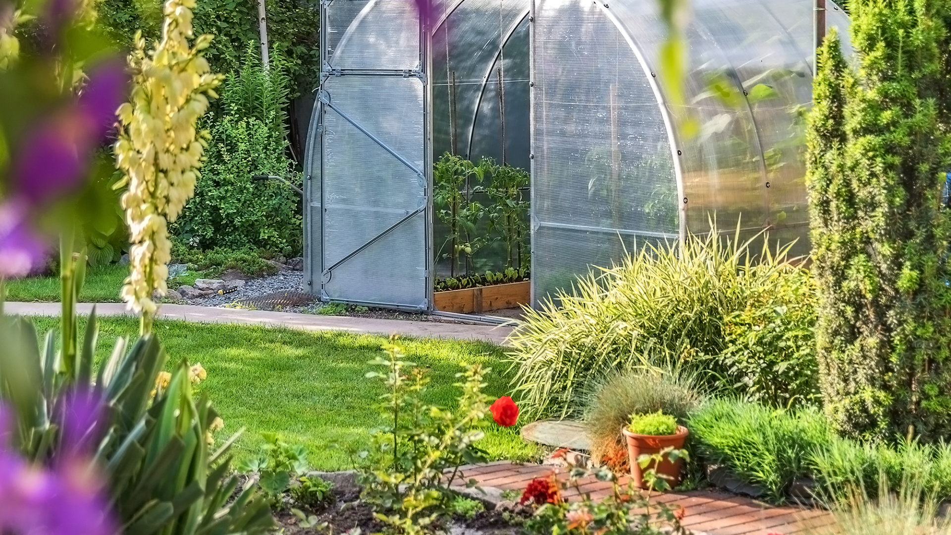 Serre avec porte ouverte, entourée d'un jardin luxuriant avec fleurs et verdure.