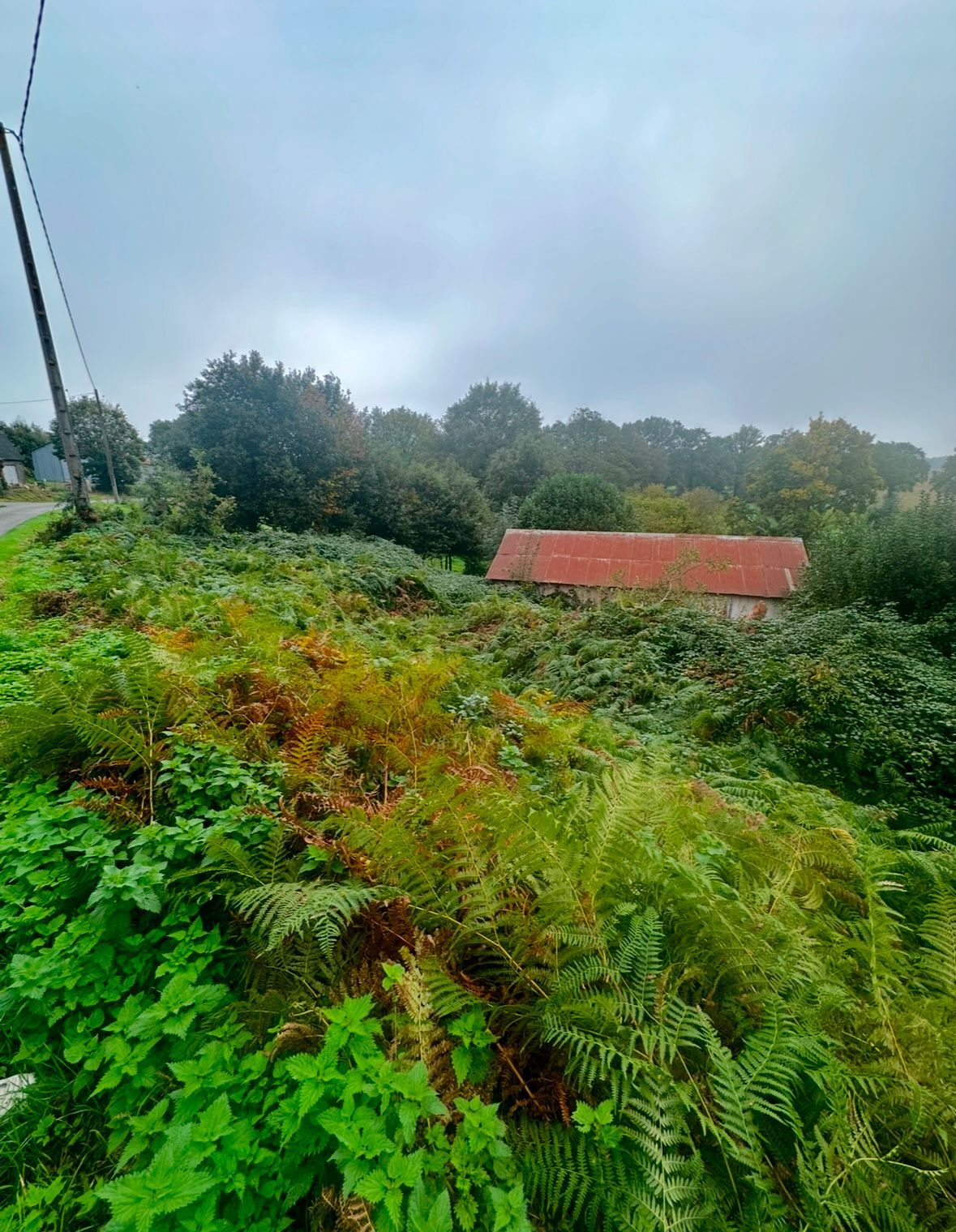 Par temps nuageux, une végétation luxuriante entoure un petit bâtiment délabré au toit de tôle rouillée.