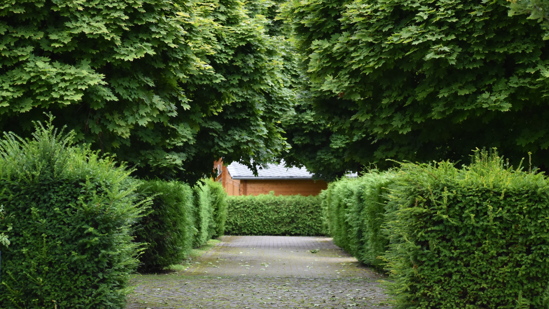 Chemin bordé de haies vertes taillées menant à un bâtiment encadré d'arbres verts luxuriants.