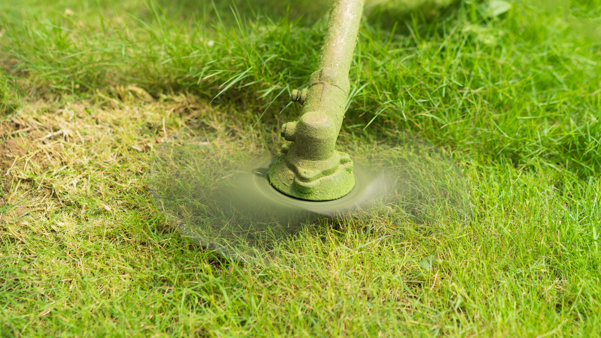 Chemin bordé de haies vertes et d'arbres menant à un bâtiment au toit brun.