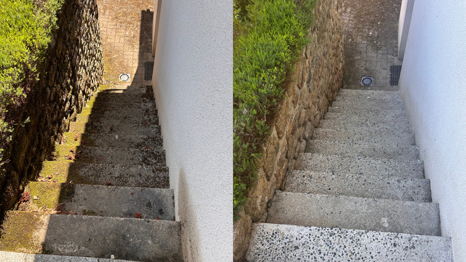 Brouette avec paillis, pelle dans le jardin à côté de l'herbe et une clôture en bois.