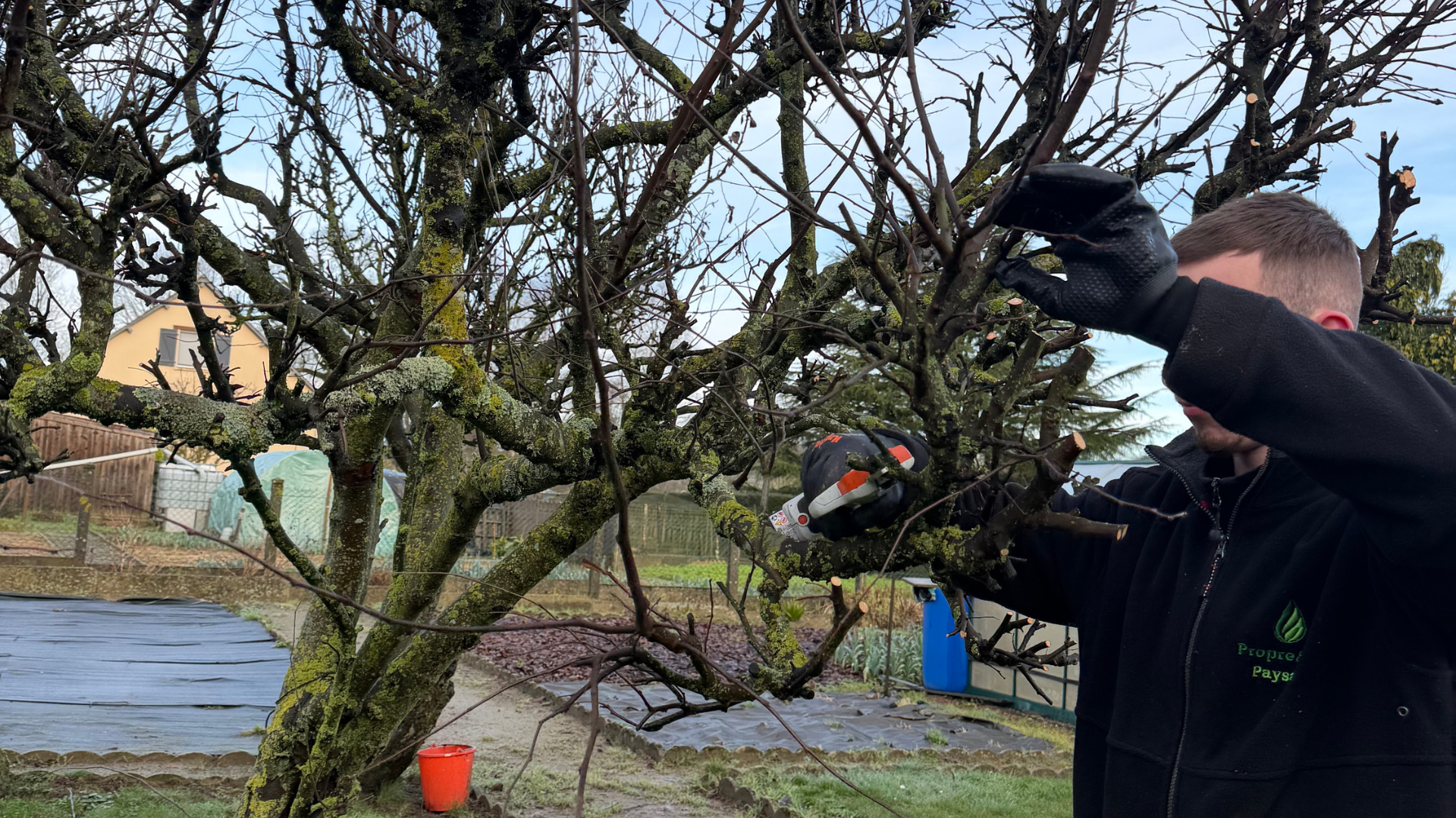 Outil sécateur taillant une branche d'arbre contre un ciel bleu.