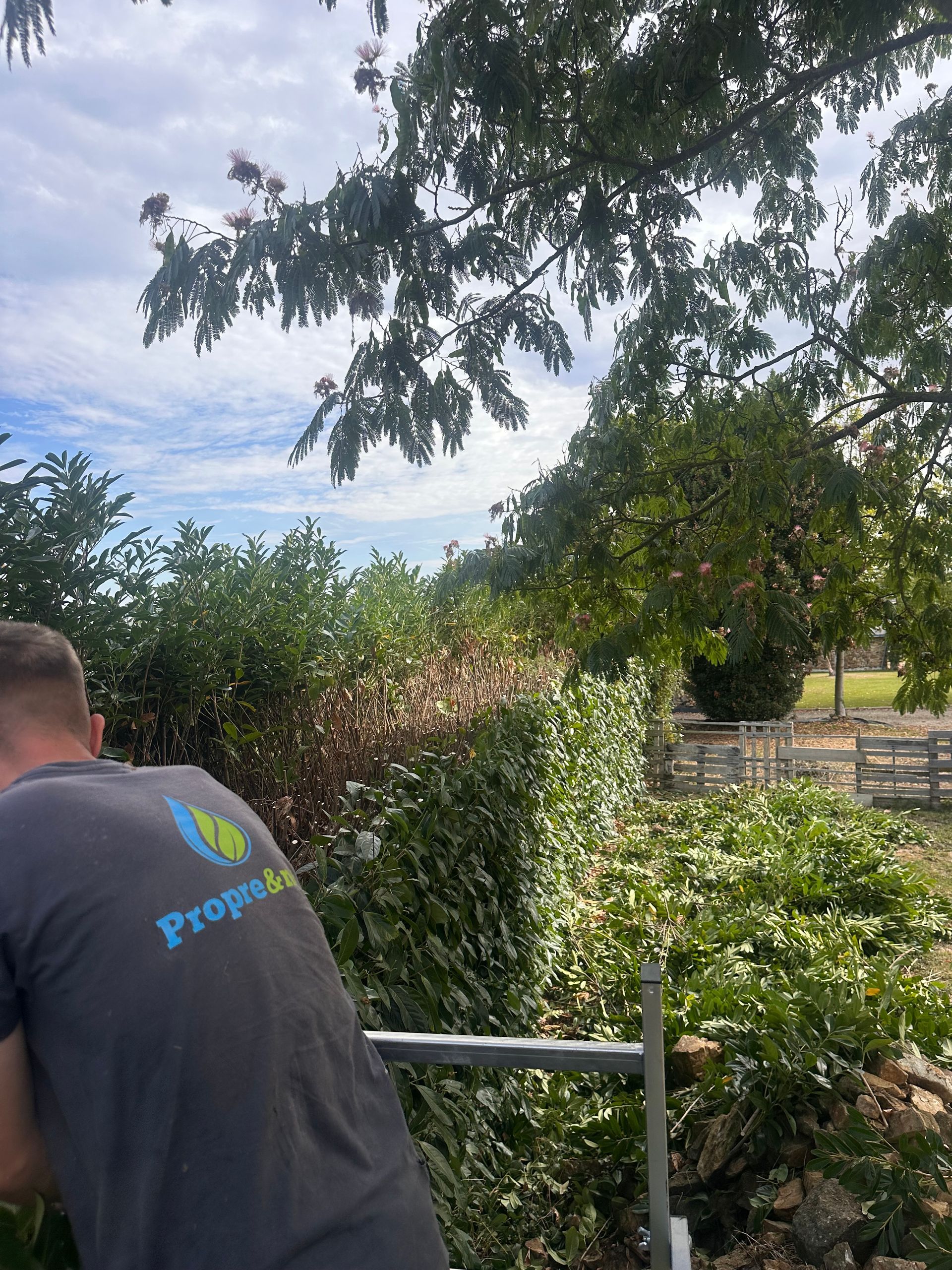 Chemin bordé de haies vertes taillées menant à un bâtiment encadré d'arbres verts luxuriants.