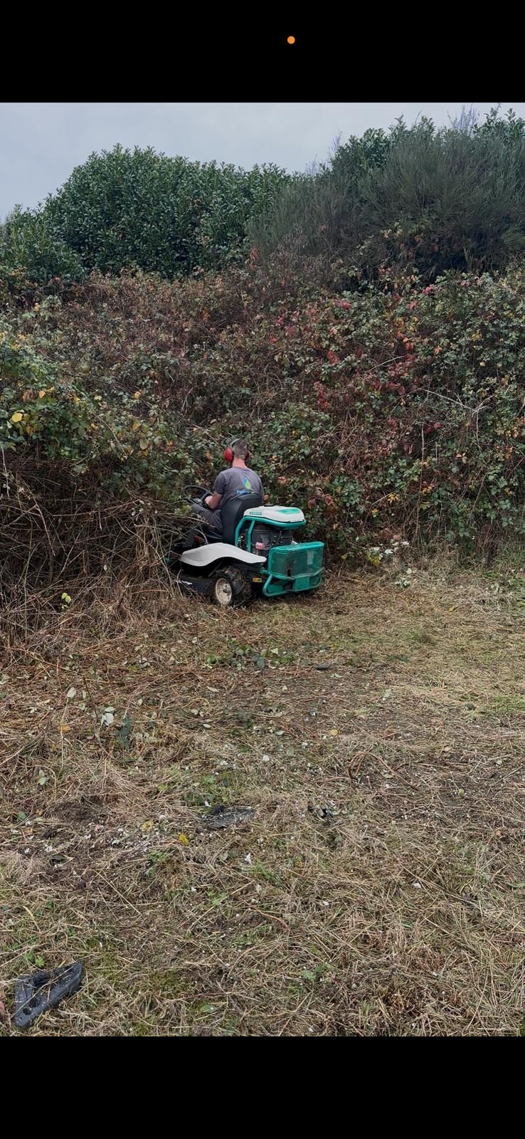 Un homme tond la pelouse avec une tondeuse rouge par une journée ensoleillée.