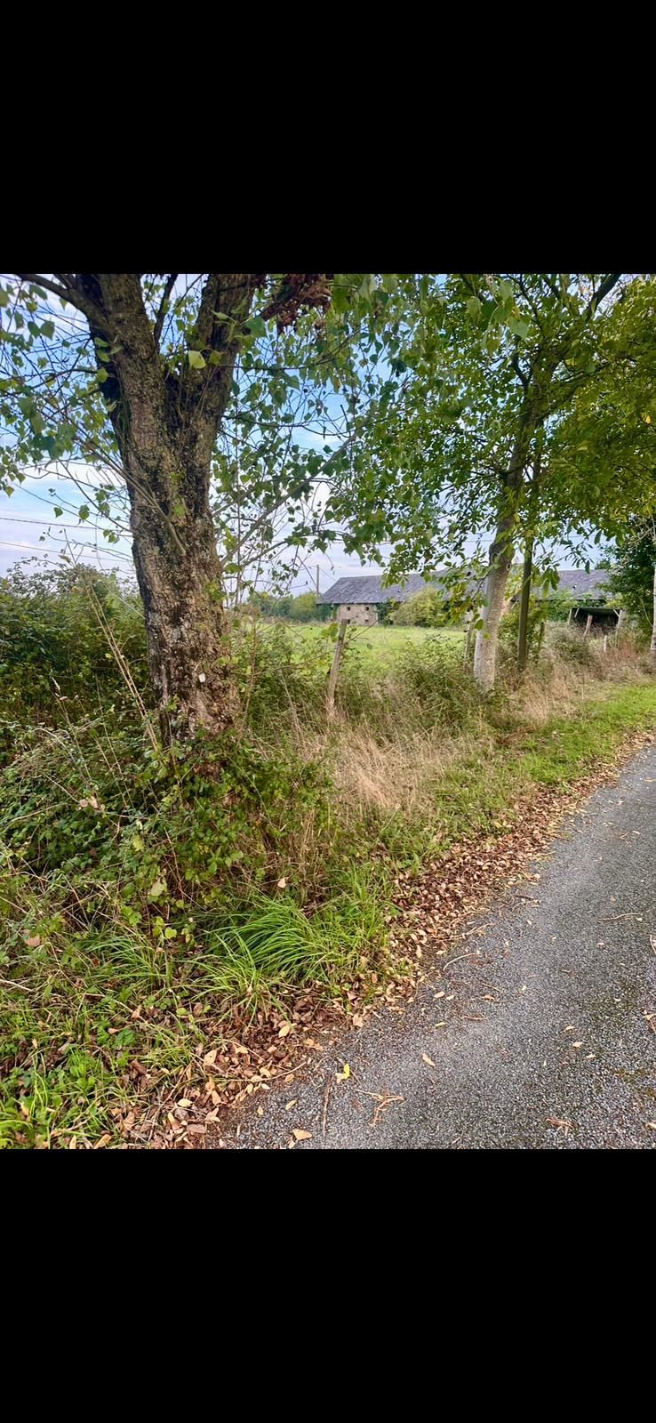 Vue depuis un chemin de gravier vers un champ avec une maison au loin, des arbres au premier plan.
