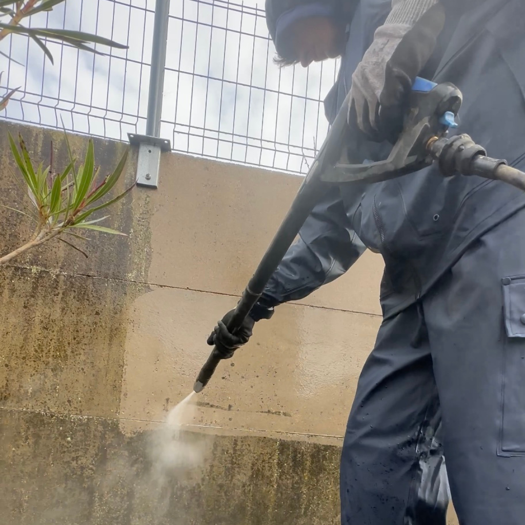 Parterre de jardin luxuriant avec diverses plantes vertes, des fleurs colorées et une pelouse herbeuse au premier plan.