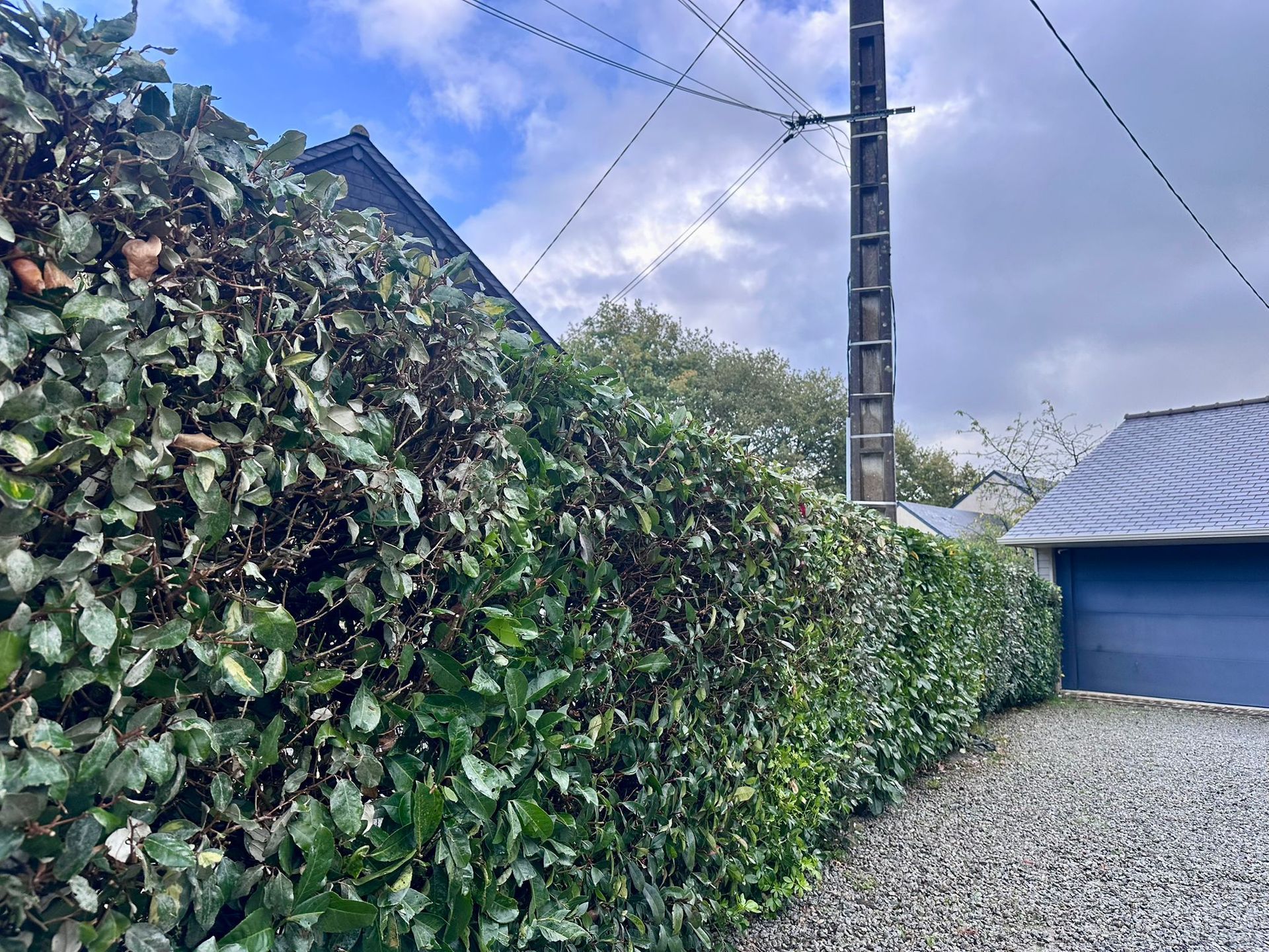 Haie verte le long d'une allée de gravier ; poteau électrique et bâtiments bleu-gris en arrière-plan.