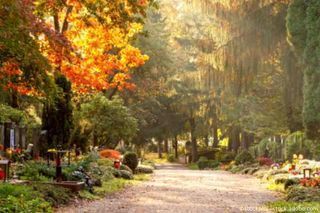 Waldfriedhof