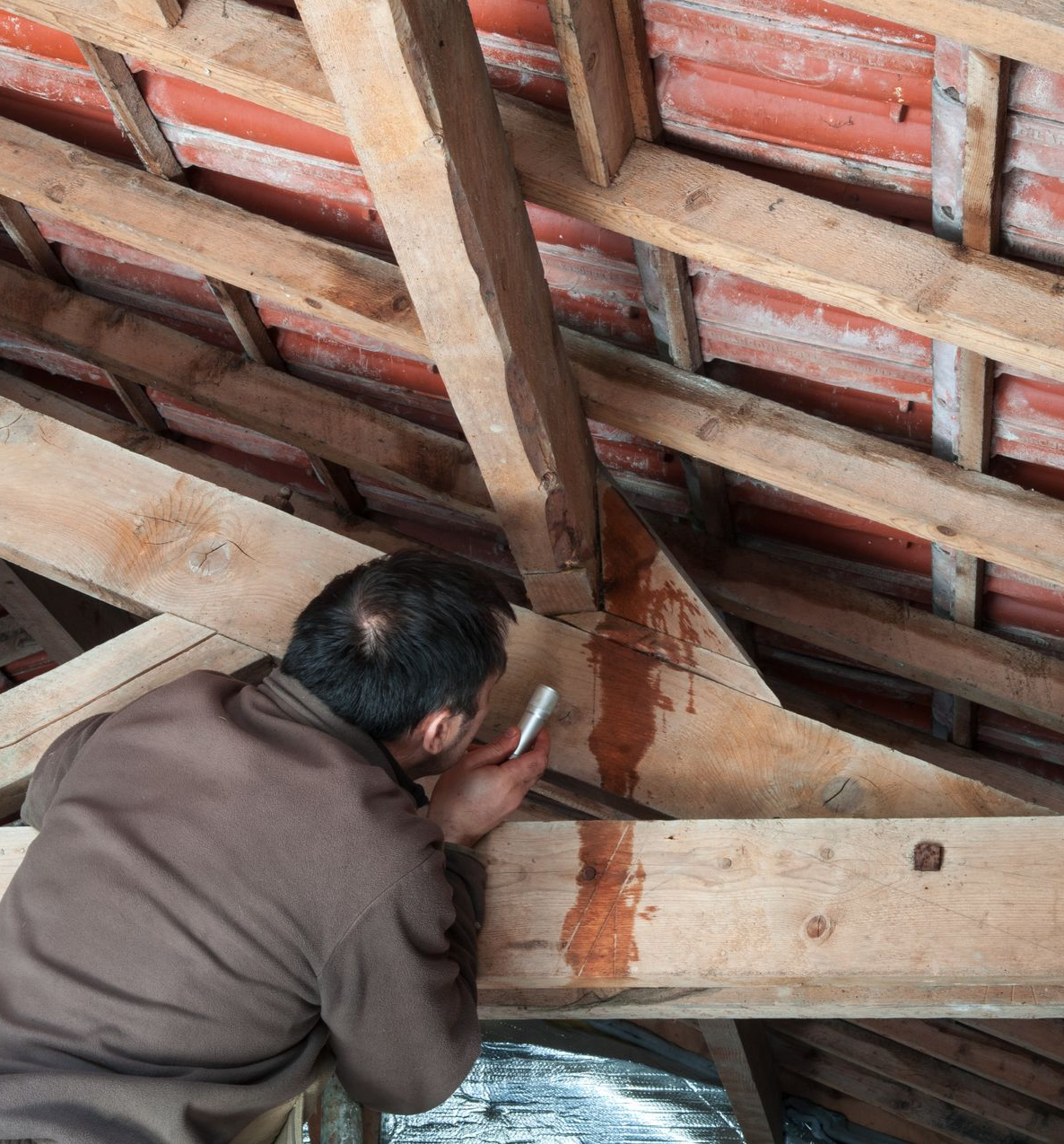 Recherche d'une fuite de toiture : inspesction de la charpente.