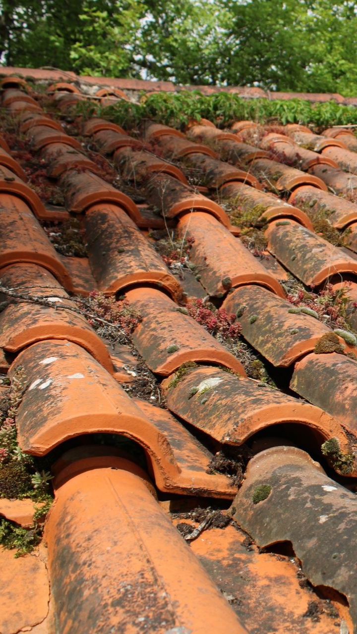 Une toiture en tuiles qui nécessite un émoussage.