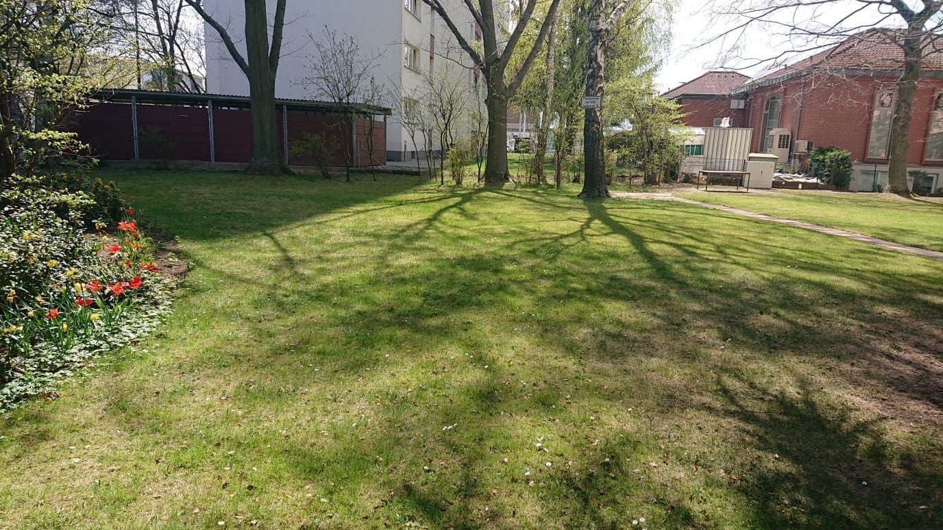 Referenzobjekt Rasenfläche