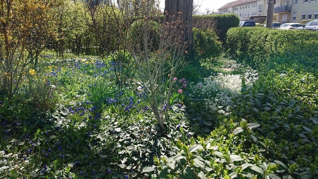 Referenzobjekt Garten mit grünen Büschen