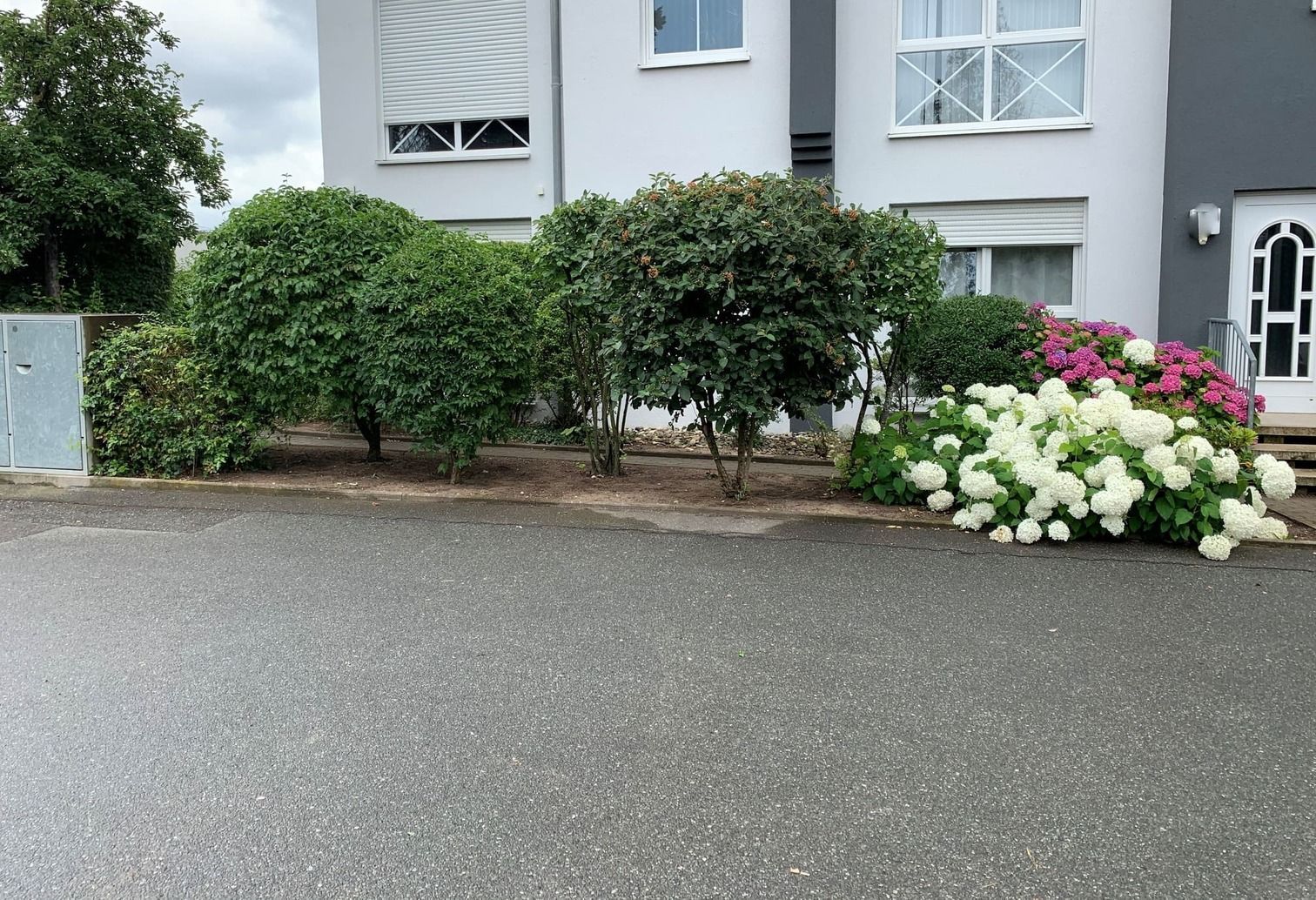 Referenzobjekt grüner Vorhof vor einem Mehrfamilienhaus mit sauberem Parkplatz