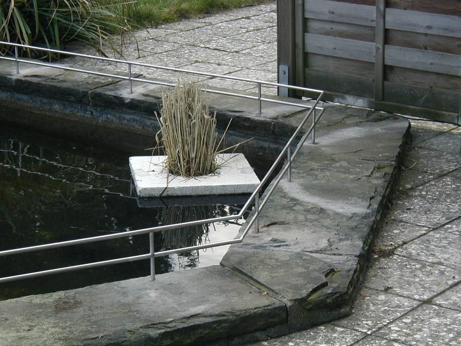 Ein Zaun umgibt einen Teich, aus dem eine Pflanze wächst