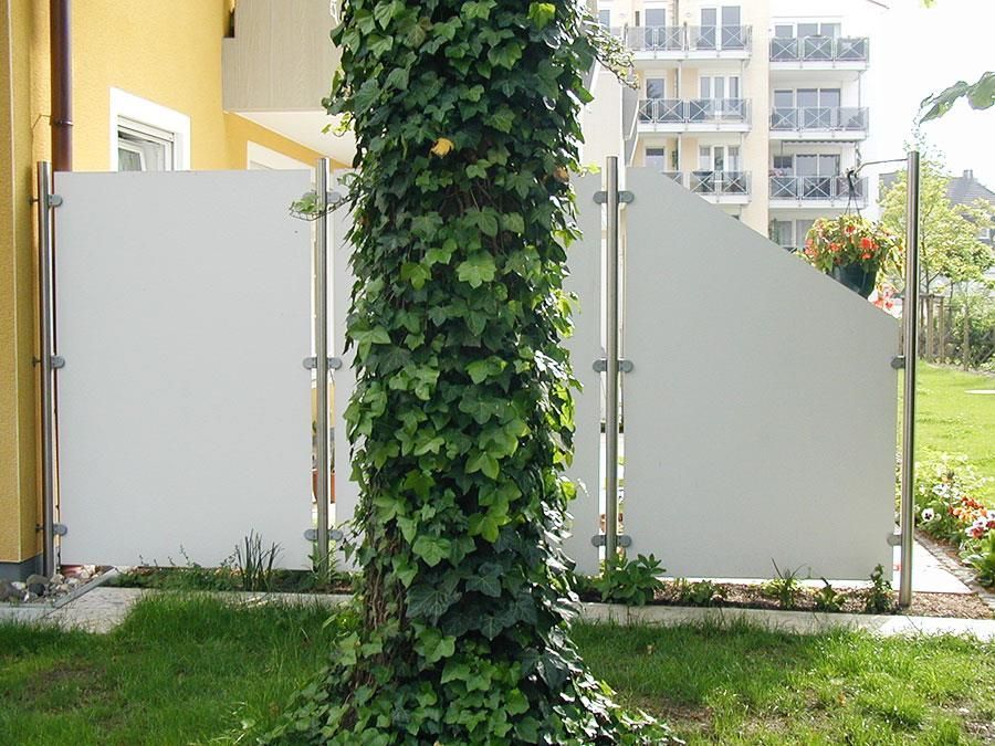 Ein Baum mit Efeu vor einem weißen Zaun