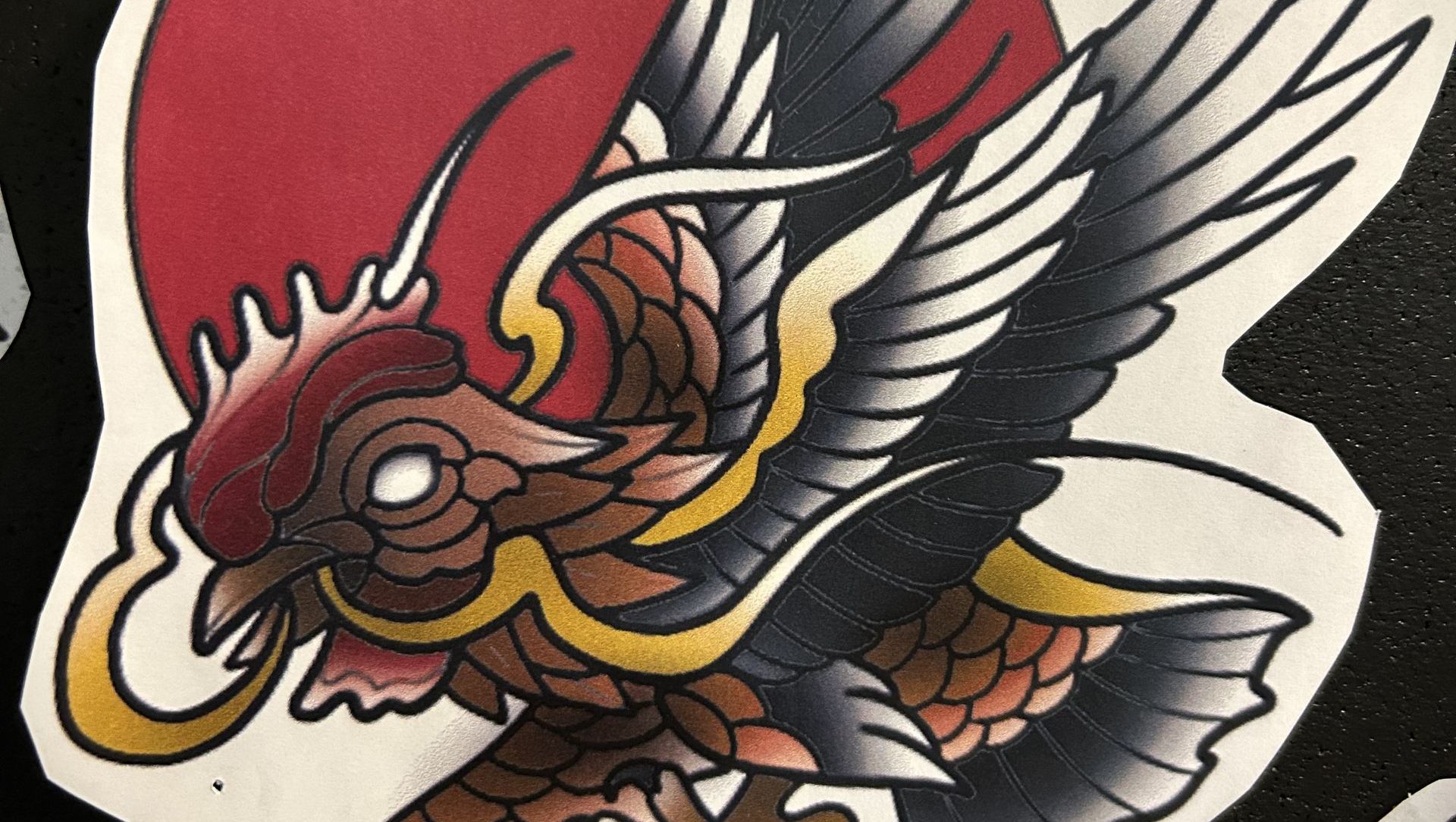 Découvrez son book de flash à adopter