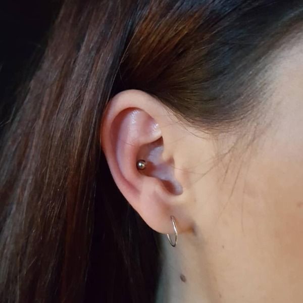 Piercing oreille Conch - perle marron