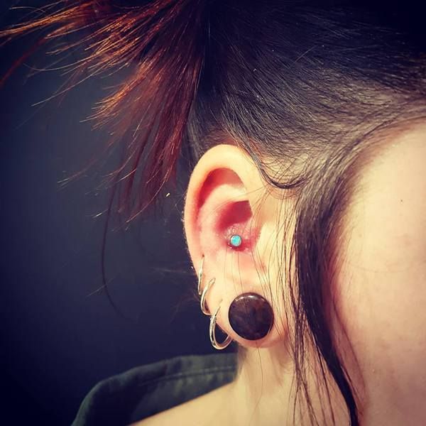 Piercing oreille Conch - perle claire