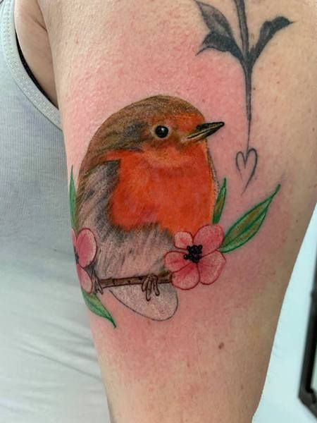 Delphine, tatouage d'un rouge-gorge
