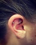 Piercing oreille Rook - 2 perles sombres
