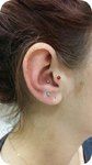 Piercing oreille Anti-Targus - perle sombre