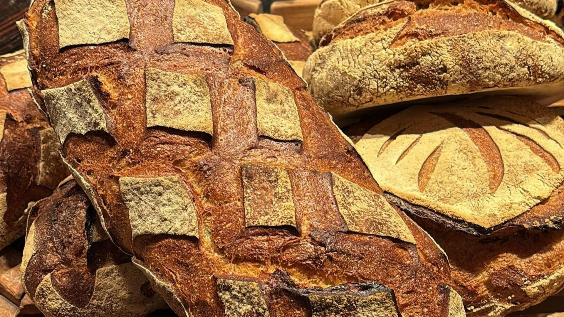 Diverses miches de pain croustillantes et dorées, certaines avec le dessus incisé, disposées ensemble.