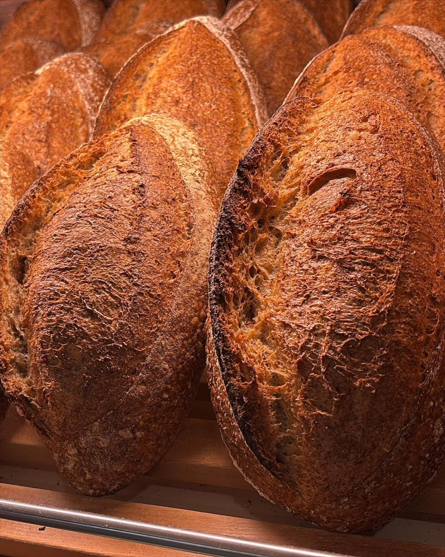 Des rangées de miches de pain croustillantes et dorées dans la vitrine d'une boulangerie.