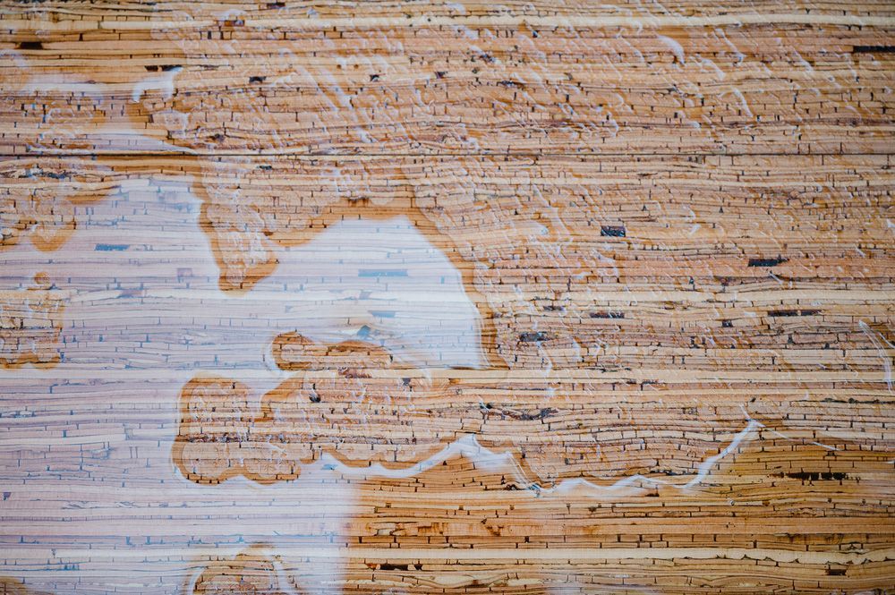 Nevi betula flooring