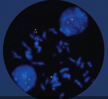 © Sysmex Deutschland GmbH