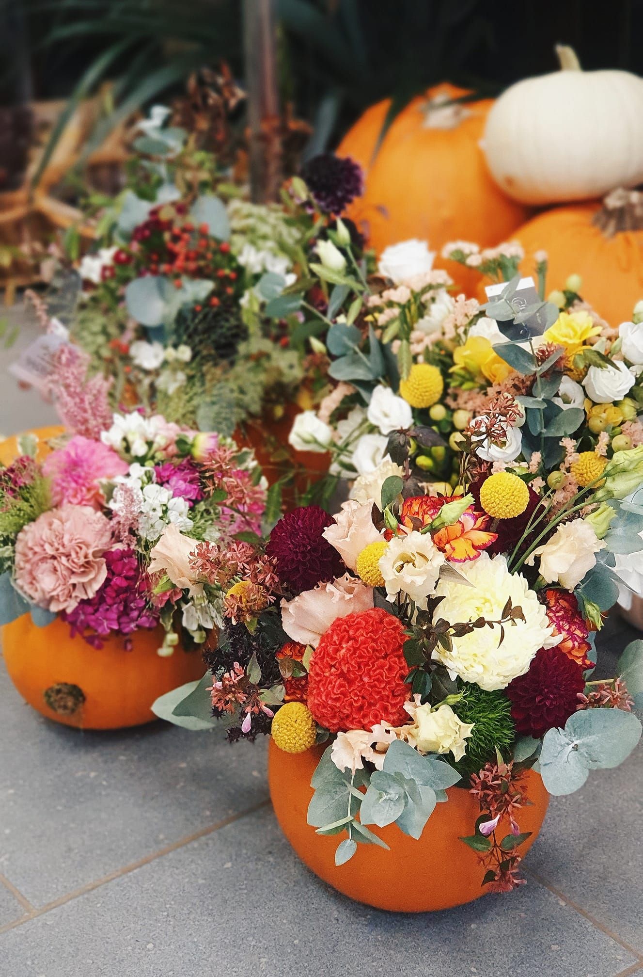 Des citrouilles surmontées de compositions florales automnales colorées sur un trottoir.