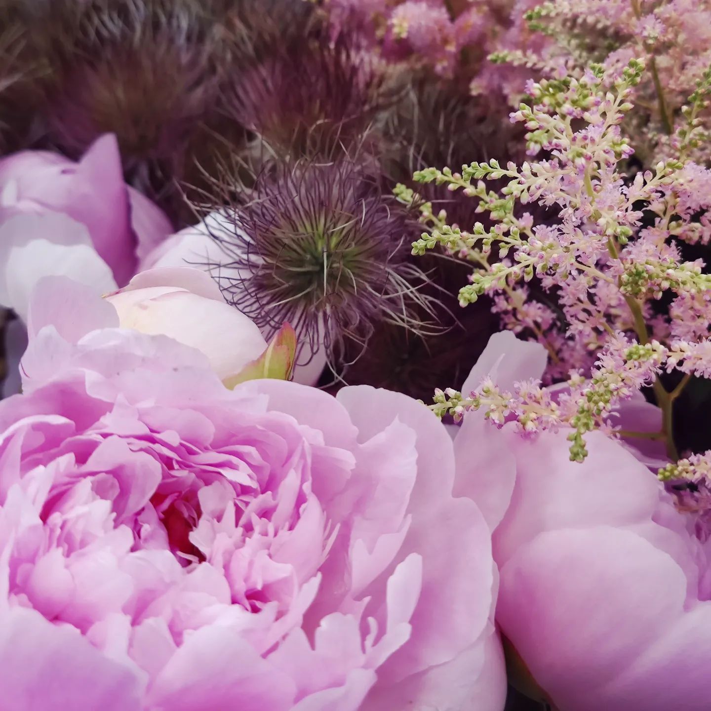 Pivoines roses et fleurs sauvages violettes dans un arrangement floral doux.