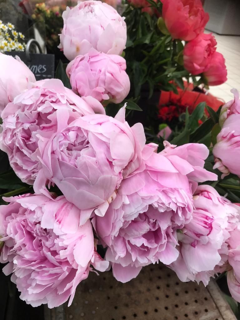 Des pivoines roses en pleine floraison dans un bouquet de fleurs, avec un feuillage vert tendre en arrière-plan.